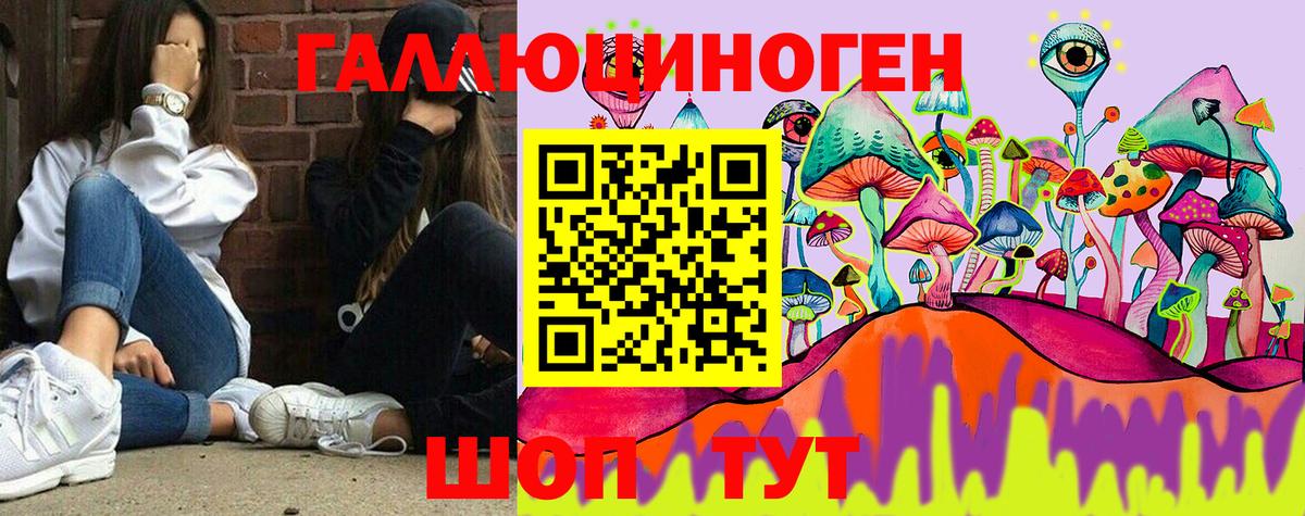 Кимры  Галлюциногенные грибы Psilocybe  Галлюциногенные грибы прущие грибы  Вход с VPN 